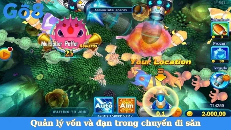 Quản lý vốn và đạn trong chuyến đi săn